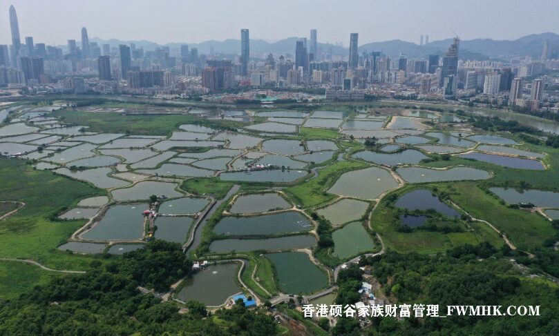 有超过30家公司承诺投资300亿港元来帮助香港“激发城市崛起”作为创新科技中心