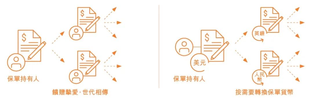 产品解析丨香港保诚「隽富多元货币计划+危疾加护保3」